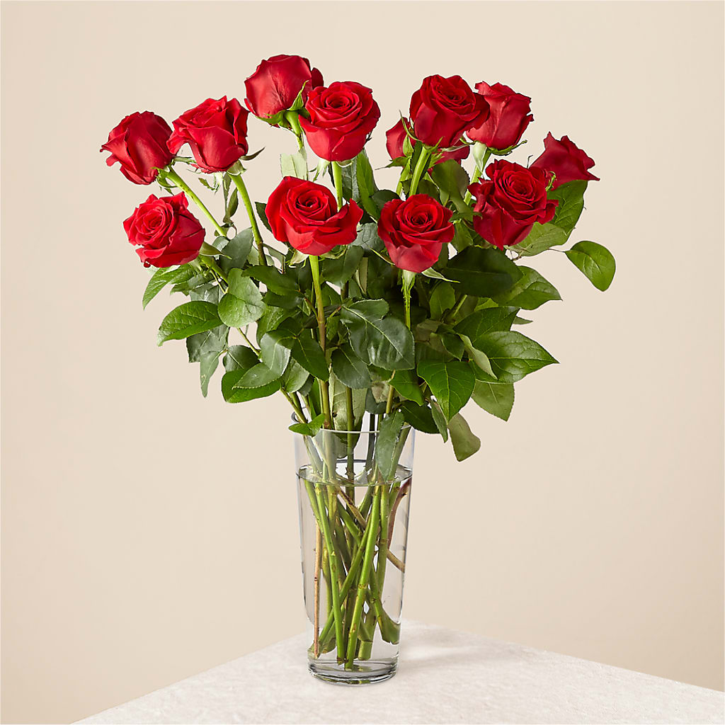 Long Stem Red Rose Bouquet – The Arrangement Smiles Unlimited Llc, Anderson IN