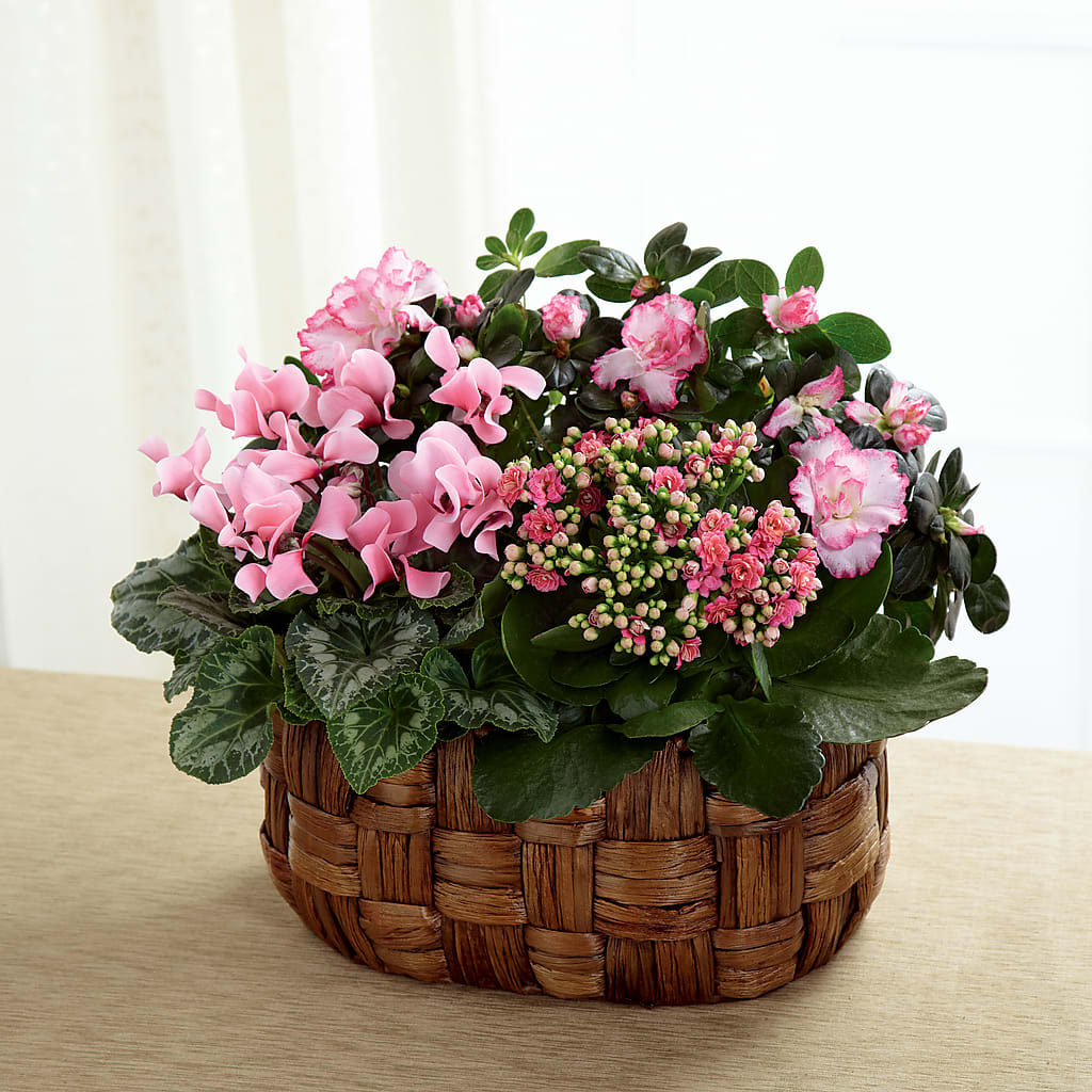 Pink Assortment – The Arrangement Smiles Unlimited Llc, Anderson IN
