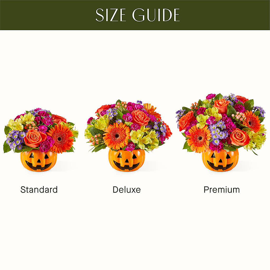Tricks & Treats Pumpkin – The Arrangement Smiles Unlimited Llc, Anderson IN