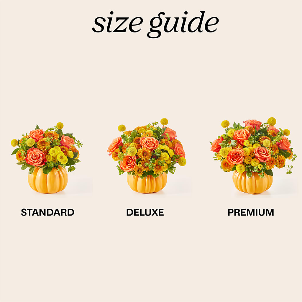 Gourdgeous Pumpkin – The Arrangement Smiles Unlimited Llc, Anderson IN
