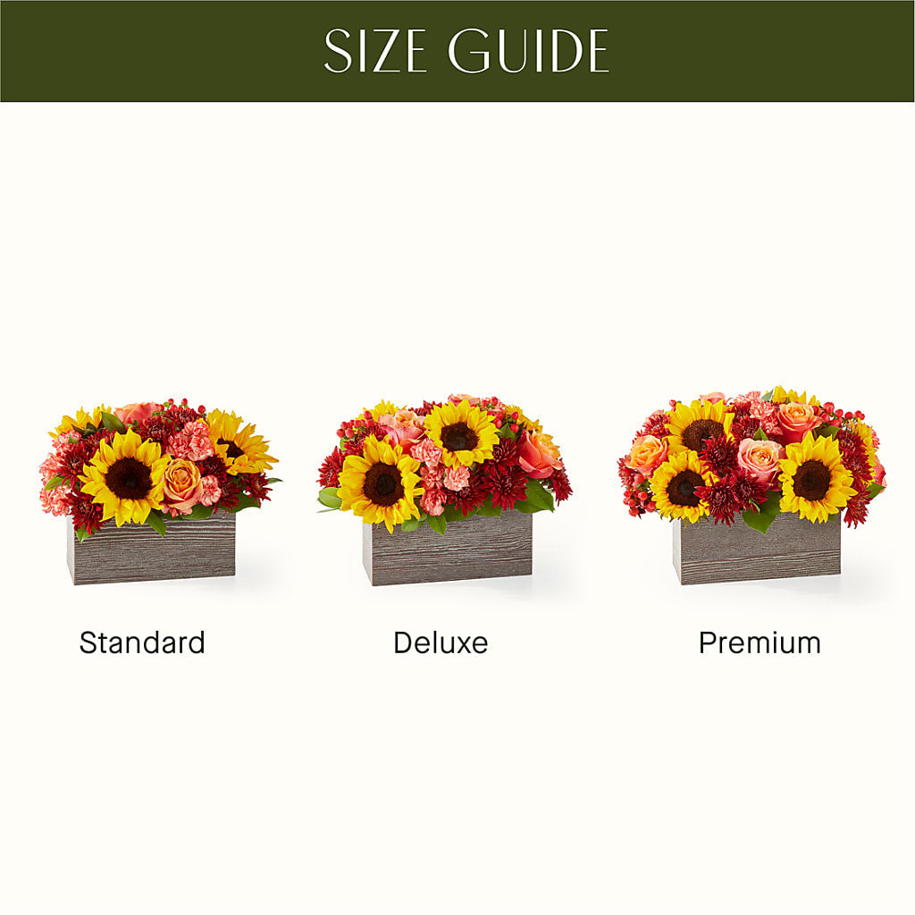 Fresh Cider Bouquet – The Arrangement Smiles Unlimited Llc, Anderson IN