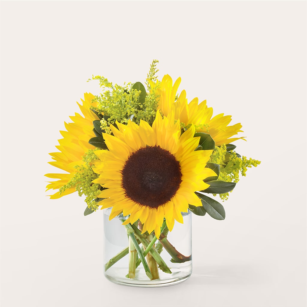 Beaming Sunflower Bouquet – The Arrangement Smiles Unlimited Llc, Anderson IN