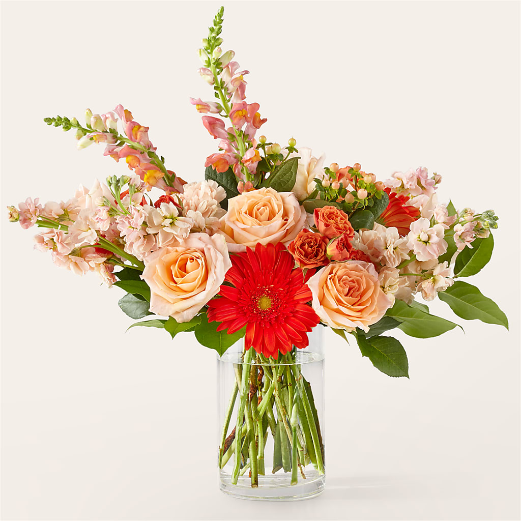 Paloma Please Bouquet – The Arrangement Smiles Unlimited Llc, Anderson IN