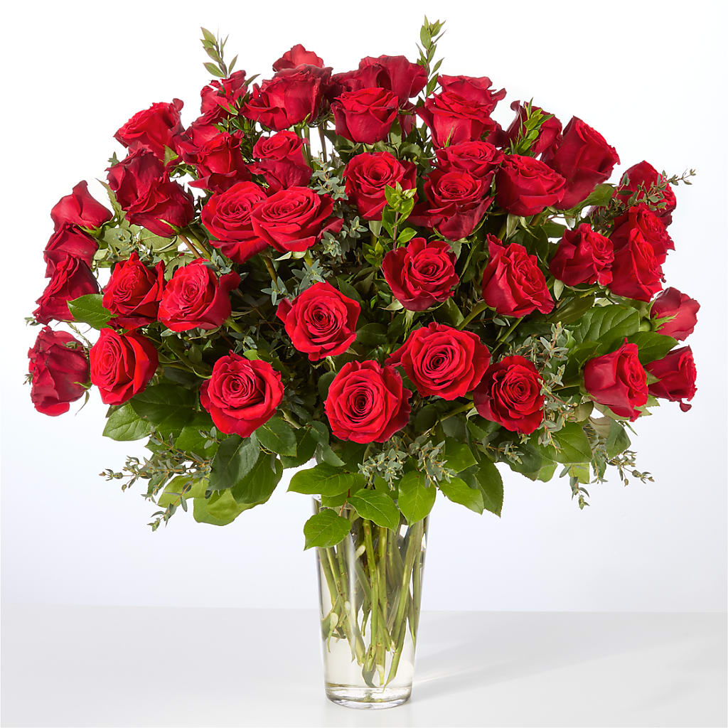 Forever Yours Fifty Stem Red Rose Bouquet – The Arrangement Smiles Unlimited Llc, Anderson IN