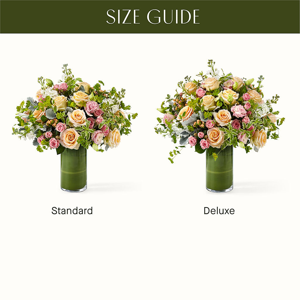 The Glamour Shot – The Arrangement Smiles Unlimited Llc, Anderson IN