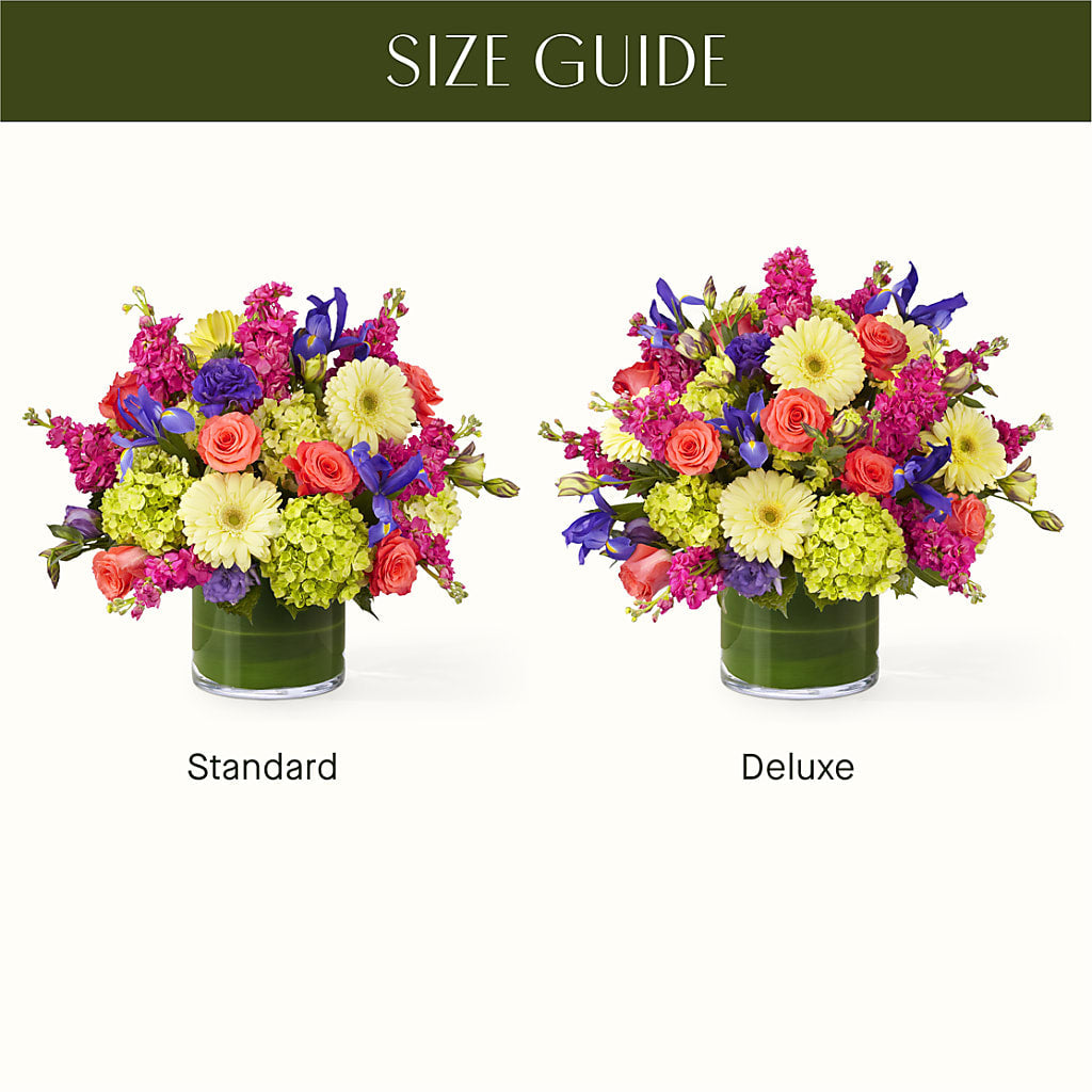 The Couture – The Arrangement Smiles Unlimited Llc, Anderson IN