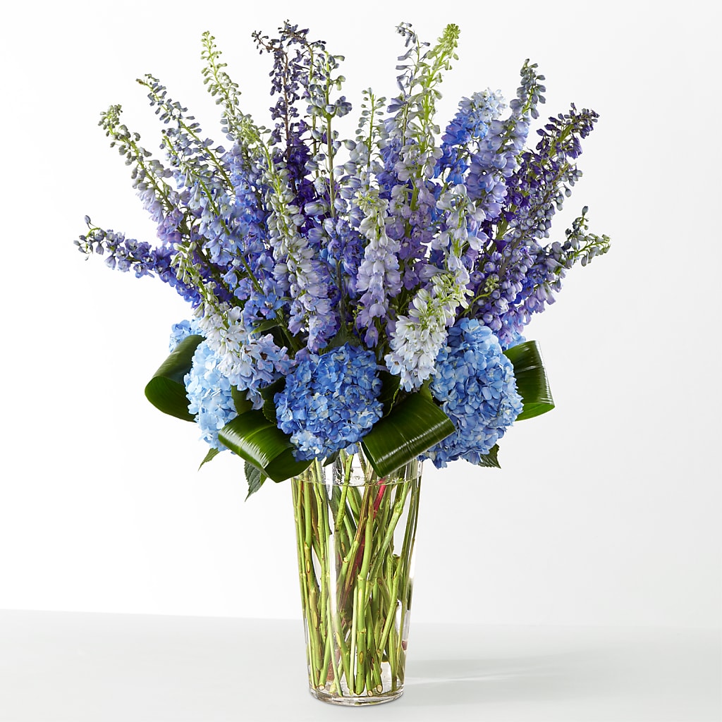The Editorial – The Arrangement Smiles Unlimited Llc, Anderson IN