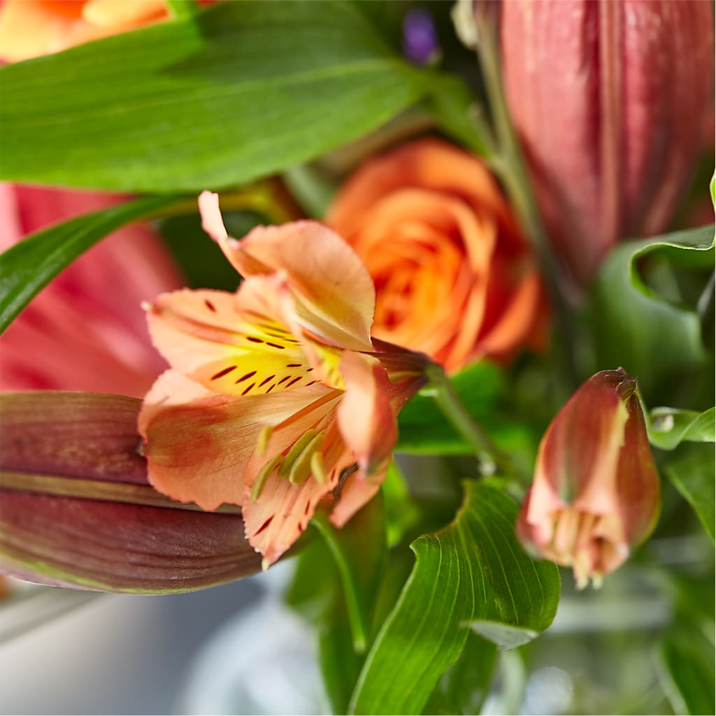 Bold & Bright – A Florist Original –  The Arrangement Smiles Unlimited Llc, Anderson IN