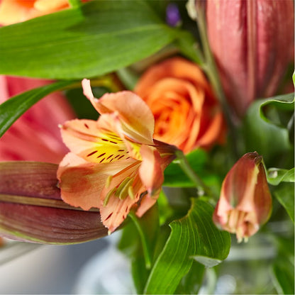 Bold & Bright – A Florist Original –  The Arrangement Smiles Unlimited Llc, Anderson IN