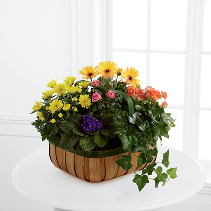 Gentle Blossoms Basket –  The Arrangement Smiles Unlimited Llc, Anderson IN
