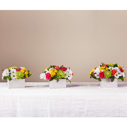 Sorbet Bouquet –  The Arrangement Smiles Unlimited Llc, Anderson IN