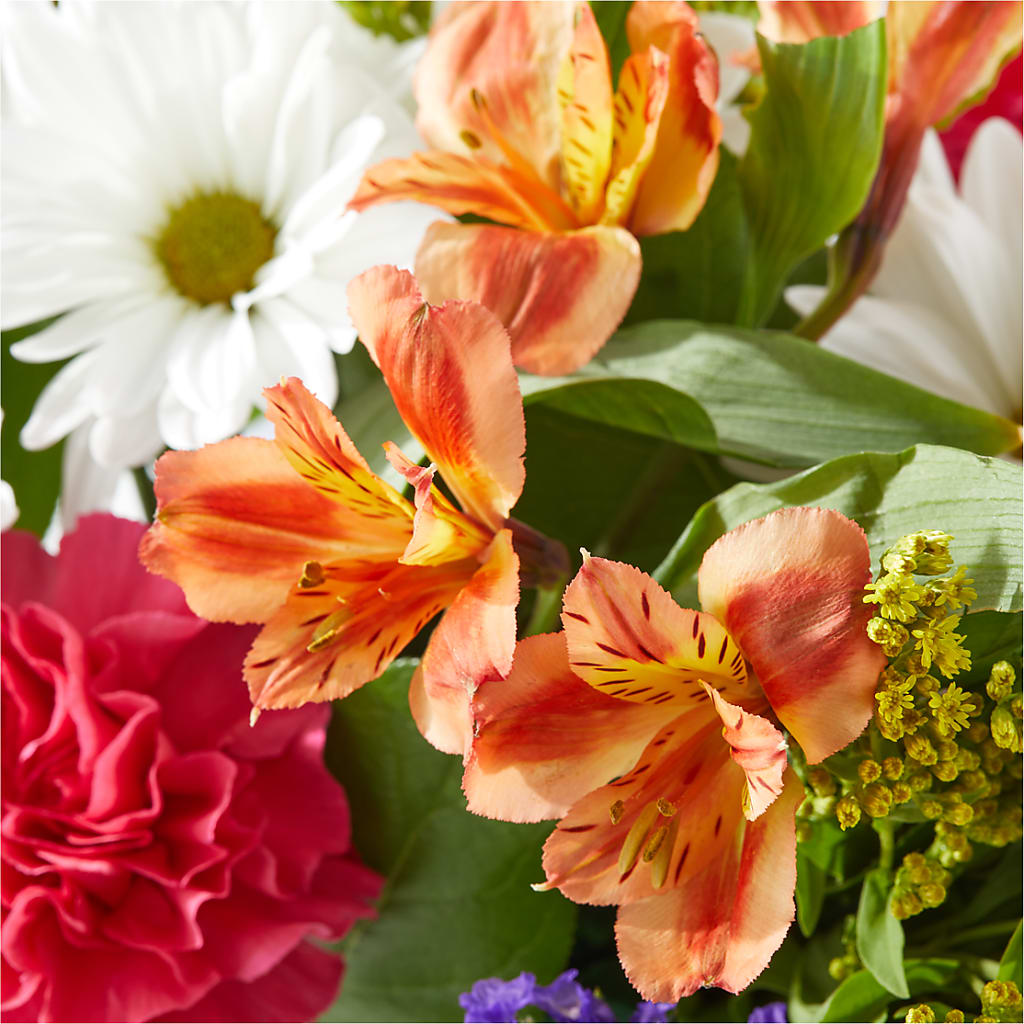 Oopsie Daisy Box Bouquet –  The Arrangement Smiles Unlimited Llc, Anderson IN