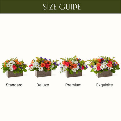 Oopsie Daisy Box Bouquet –  The Arrangement Smiles Unlimited Llc, Anderson IN