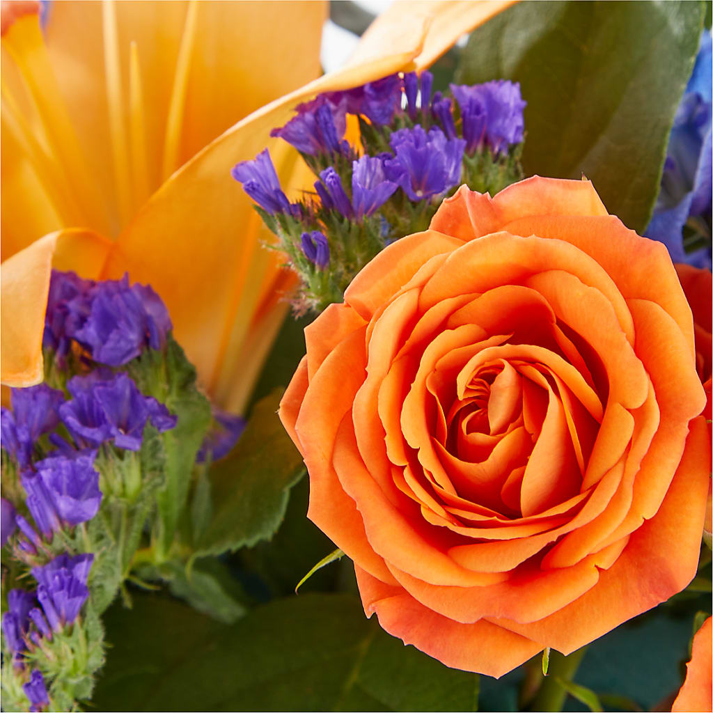 Radiant Citrus Box Bouquet –  The Arrangement Smiles Unlimited Llc, Anderson IN