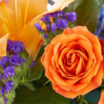 Radiant Citrus Box Bouquet –  The Arrangement Smiles Unlimited Llc, Anderson IN