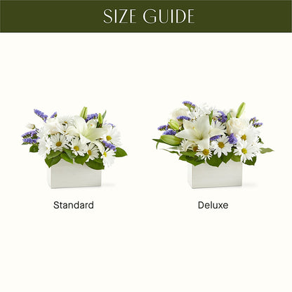 Beyond Blue Box Bouquet –  The Arrangement Smiles Unlimited Llc, Anderson IN