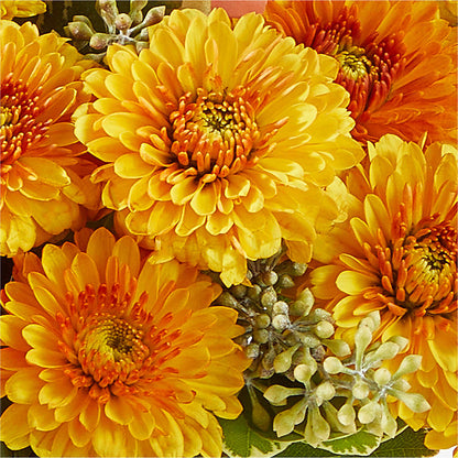 Peachy Pumpkin –  The Arrangement Smiles Unlimited Llc, Anderson IN