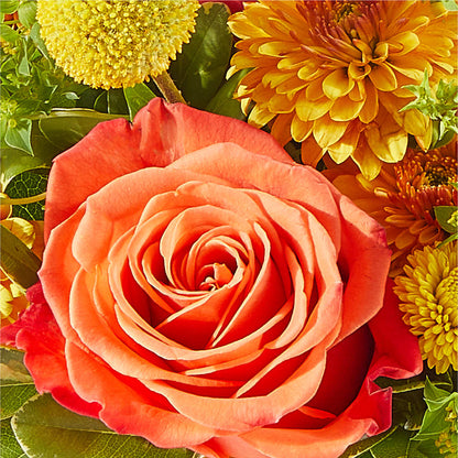 Gourdgeous Pumpkin –  The Arrangement Smiles Unlimited Llc, Anderson IN