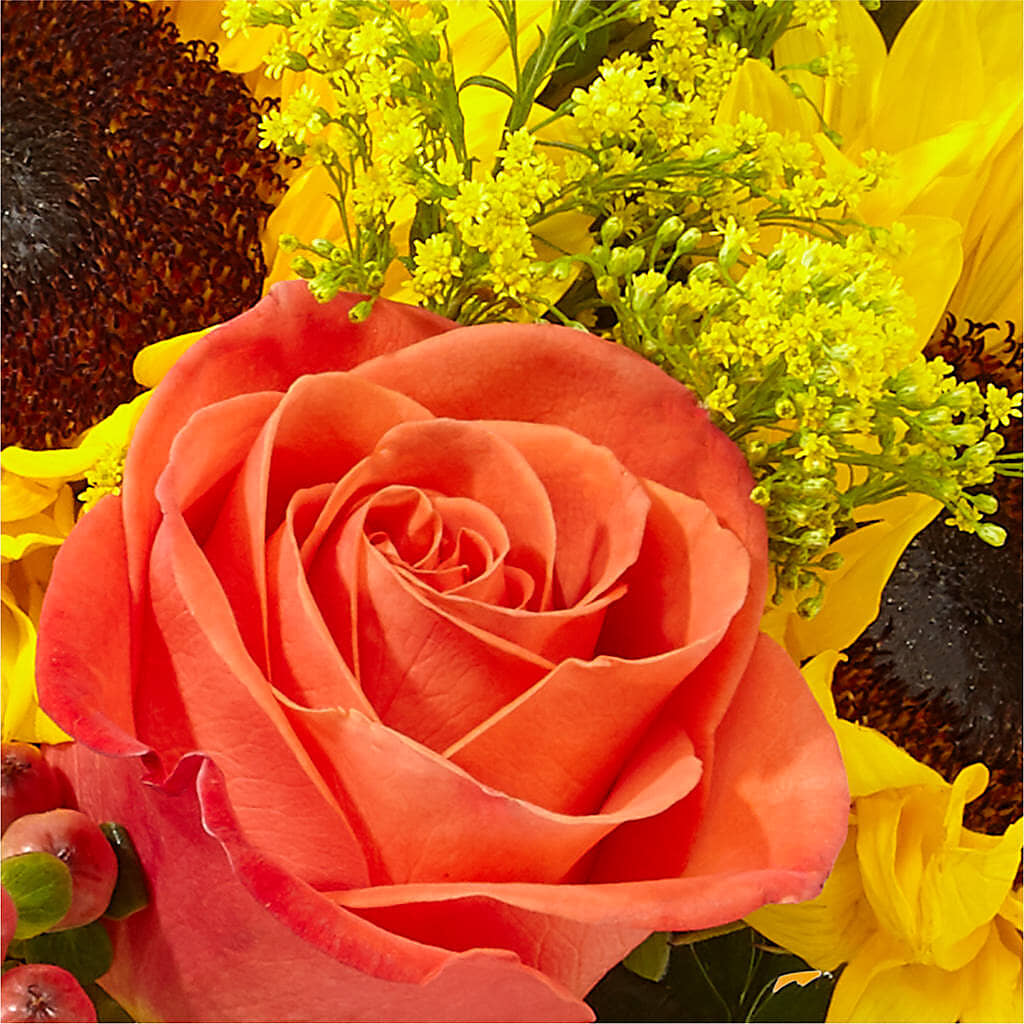 Pick of the Patch Pumpkin Bouquet –  The Arrangement Smiles Unlimited Llc, Anderson IN