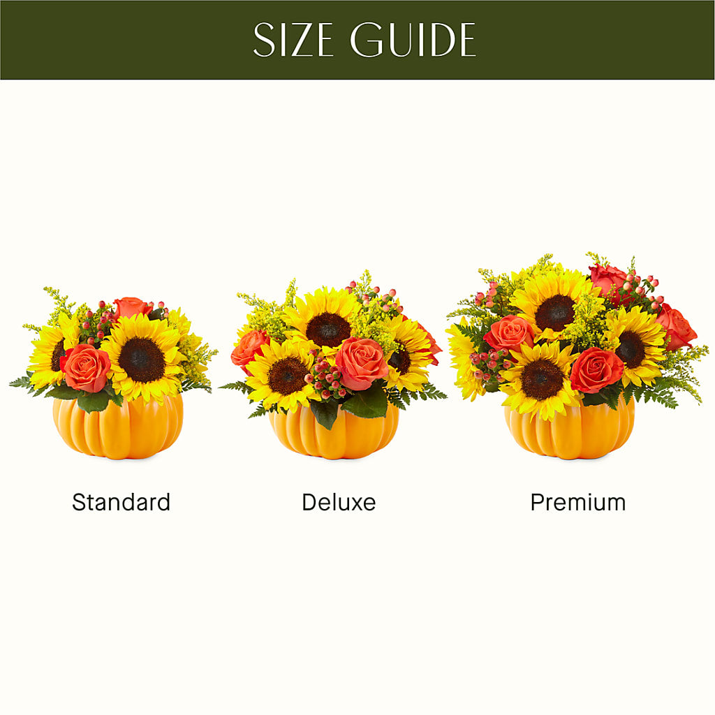Pick of the Patch Pumpkin Bouquet –  The Arrangement Smiles Unlimited Llc, Anderson IN