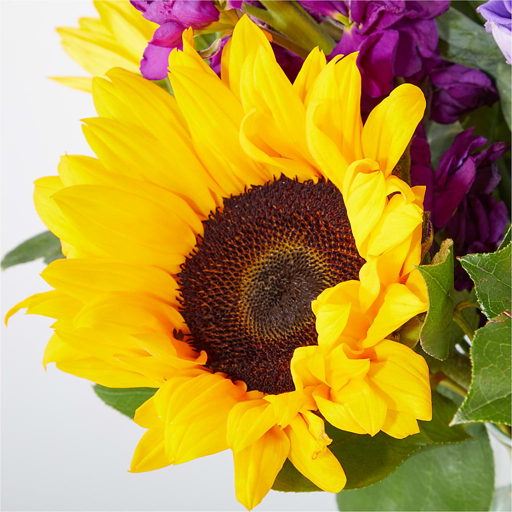Catching Rays Bouquet –  The Arrangement Smiles Unlimited Llc, Anderson IN