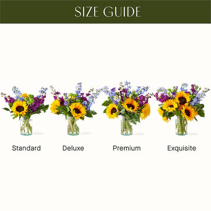 Catching Rays Bouquet –  The Arrangement Smiles Unlimited Llc, Anderson IN