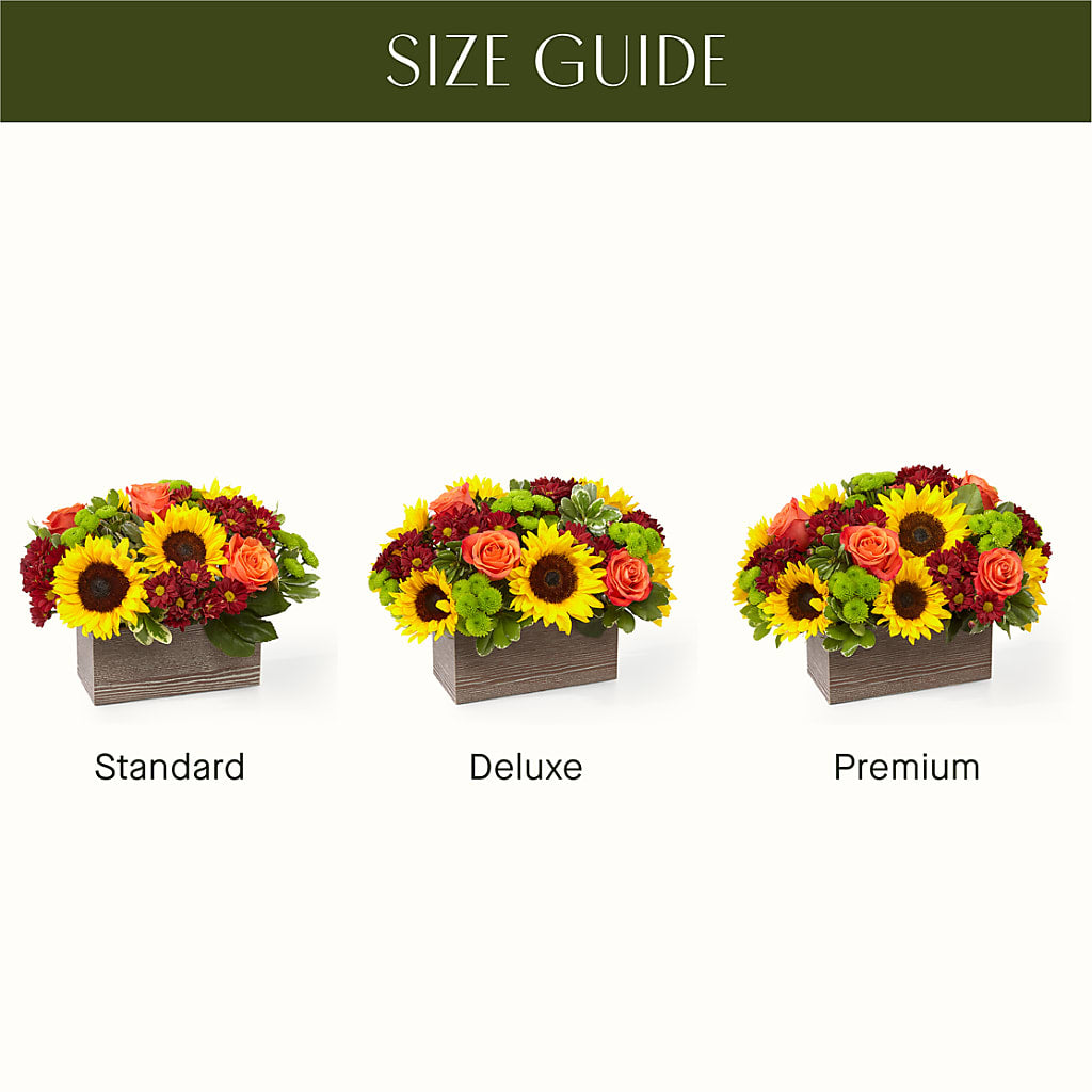 Happy Harvest Garden –  The Arrangement Smiles Unlimited Llc, Anderson IN