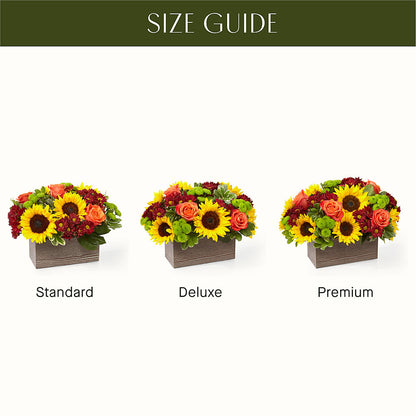 Happy Harvest Garden –  The Arrangement Smiles Unlimited Llc, Anderson IN