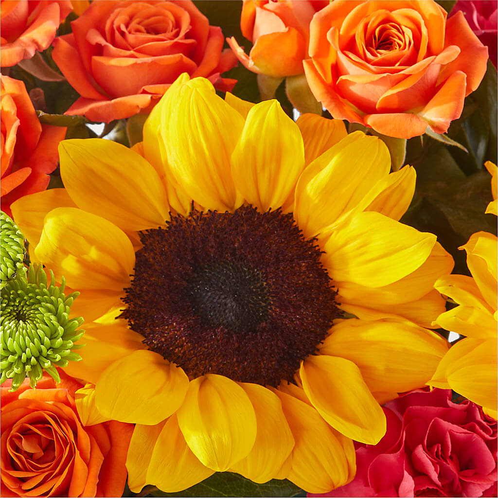 Sun-drenched Blooms Box Bouquet –  The Arrangement Smiles Unlimited Llc, Anderson IN