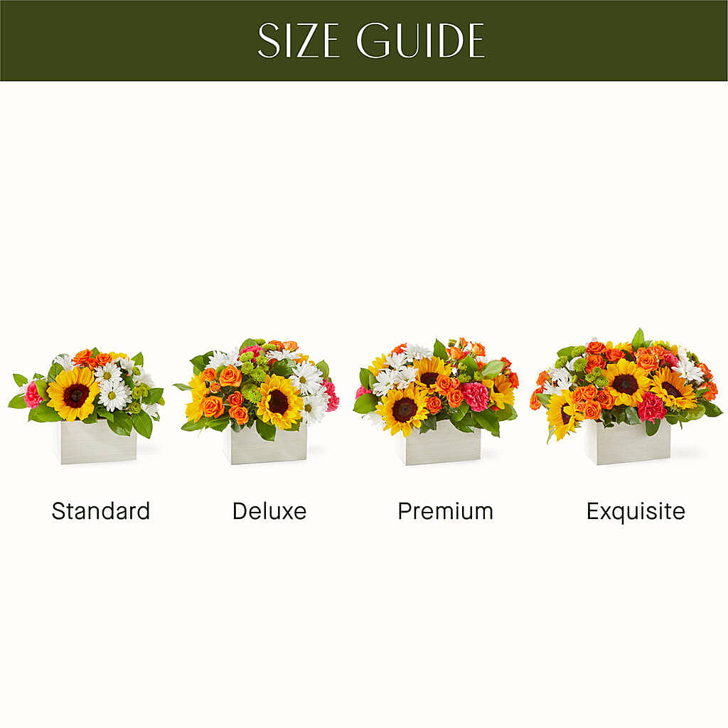 Sun-drenched Blooms Box Bouquet –  The Arrangement Smiles Unlimited Llc, Anderson IN