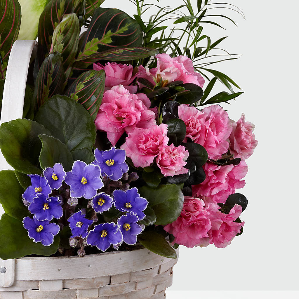 Peaceful Garden Planter –  The Arrangement Smiles Unlimited Llc, Anderson IN