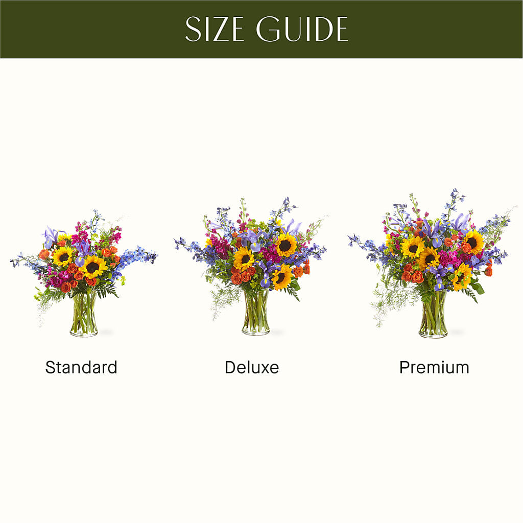 Rays of Life Bouquet –  The Arrangement Smiles Unlimited Llc, Anderson IN