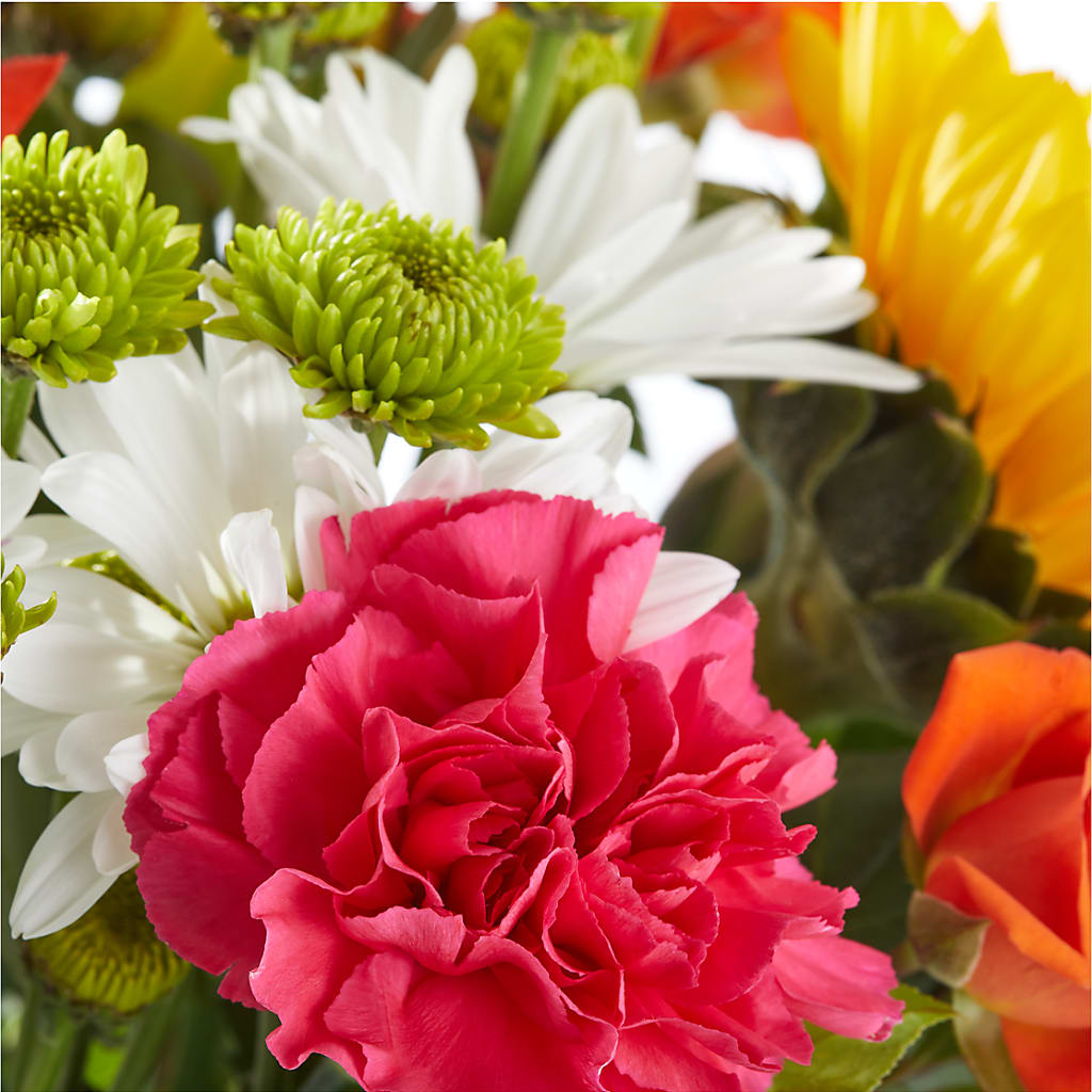 Sun-drenched Blooms Bouquet –  The Arrangement Smiles Unlimited Llc, Anderson IN