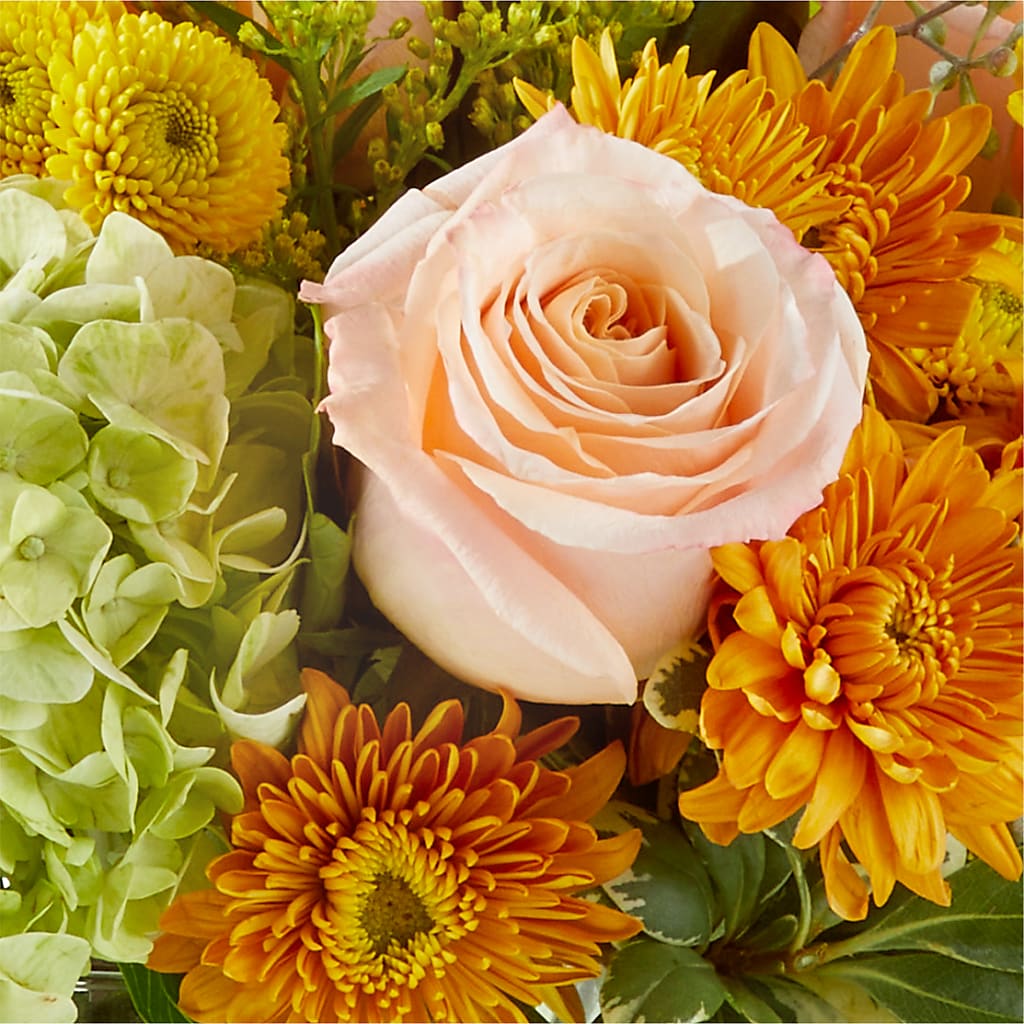 Fall Foliage Bouquet –  The Arrangement Smiles Unlimited Llc, Anderson IN