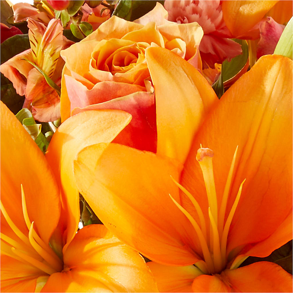 Afternoon Light Bouquet –  The Arrangement Smiles Unlimited Llc, Anderson IN