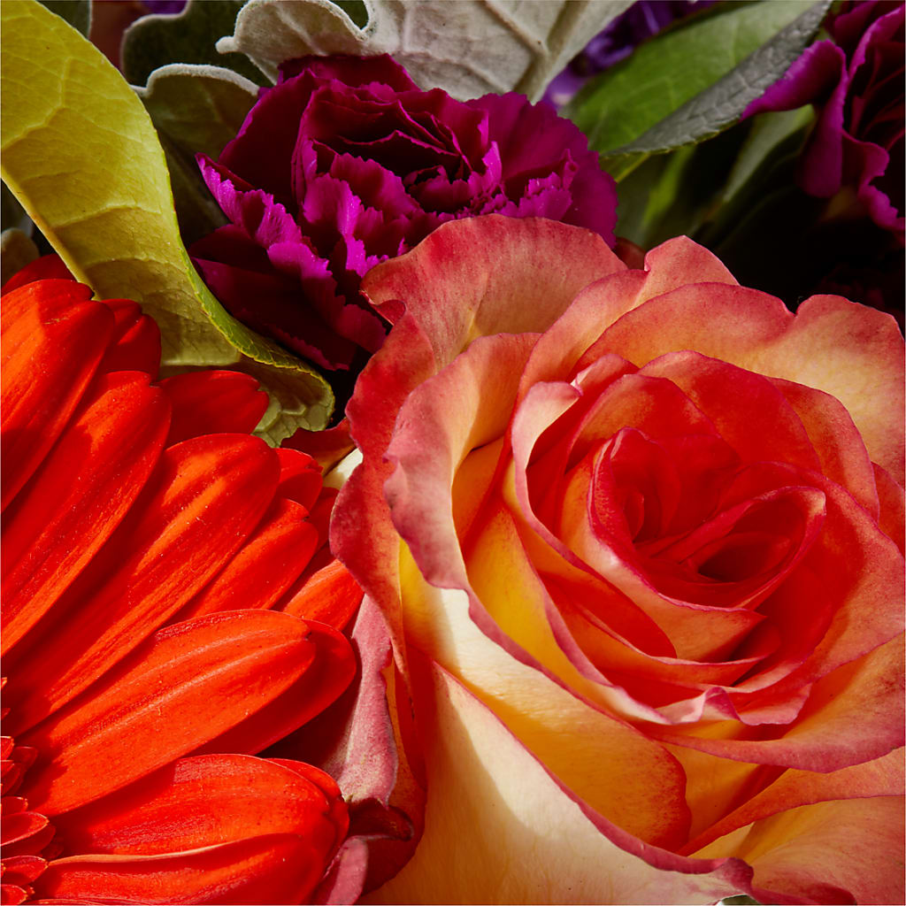 Sangria Bouquet –  The Arrangement Smiles Unlimited Llc, Anderson IN