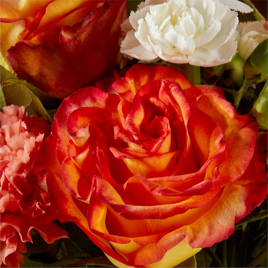 Apricot Glow Bouquet –  The Arrangement Smiles Unlimited Llc, Anderson IN