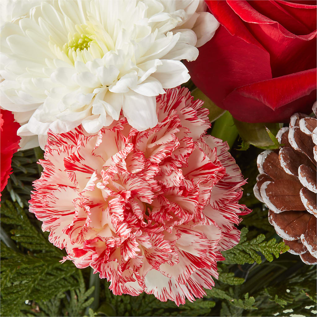 Candy Cane Lane Bouquet –  The Arrangement Smiles Unlimited Llc, Anderson IN