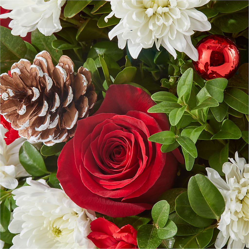 Let It Snow Tree –  The Arrangement Smiles Unlimited Llc, Anderson IN