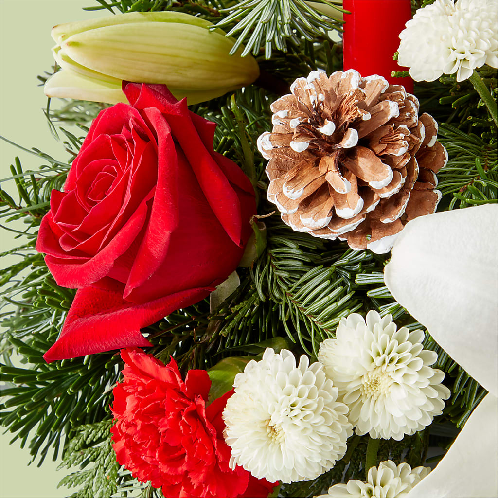 Seasonal Festivities Centerpiece –  The Arrangement Smiles Unlimited Llc, Anderson IN