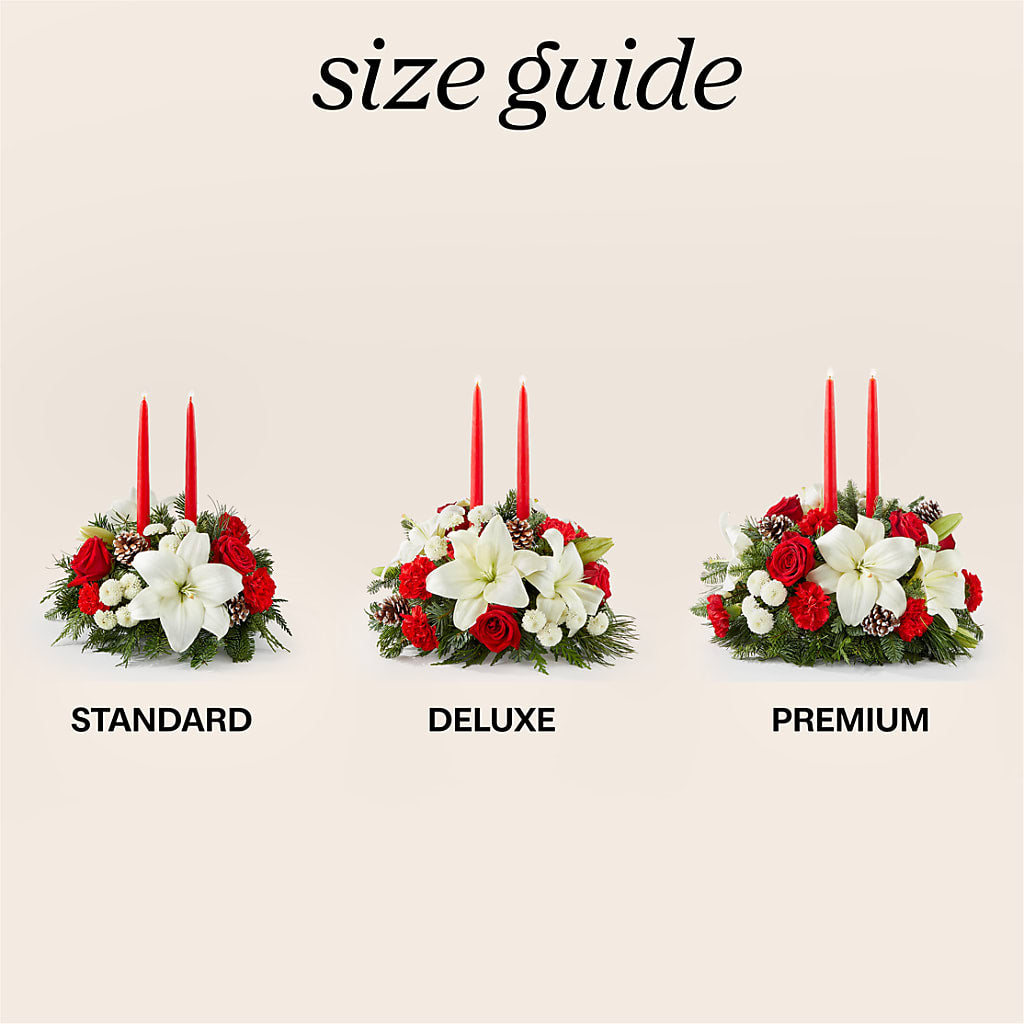 Seasonal Festivities Centerpiece –  The Arrangement Smiles Unlimited Llc, Anderson IN