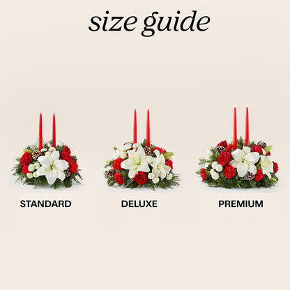 Seasonal Festivities Centerpiece –  The Arrangement Smiles Unlimited Llc, Anderson IN