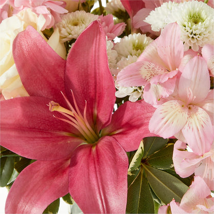 Piece of Cake Bouquet –  The Arrangement Smiles Unlimited Llc, Anderson IN