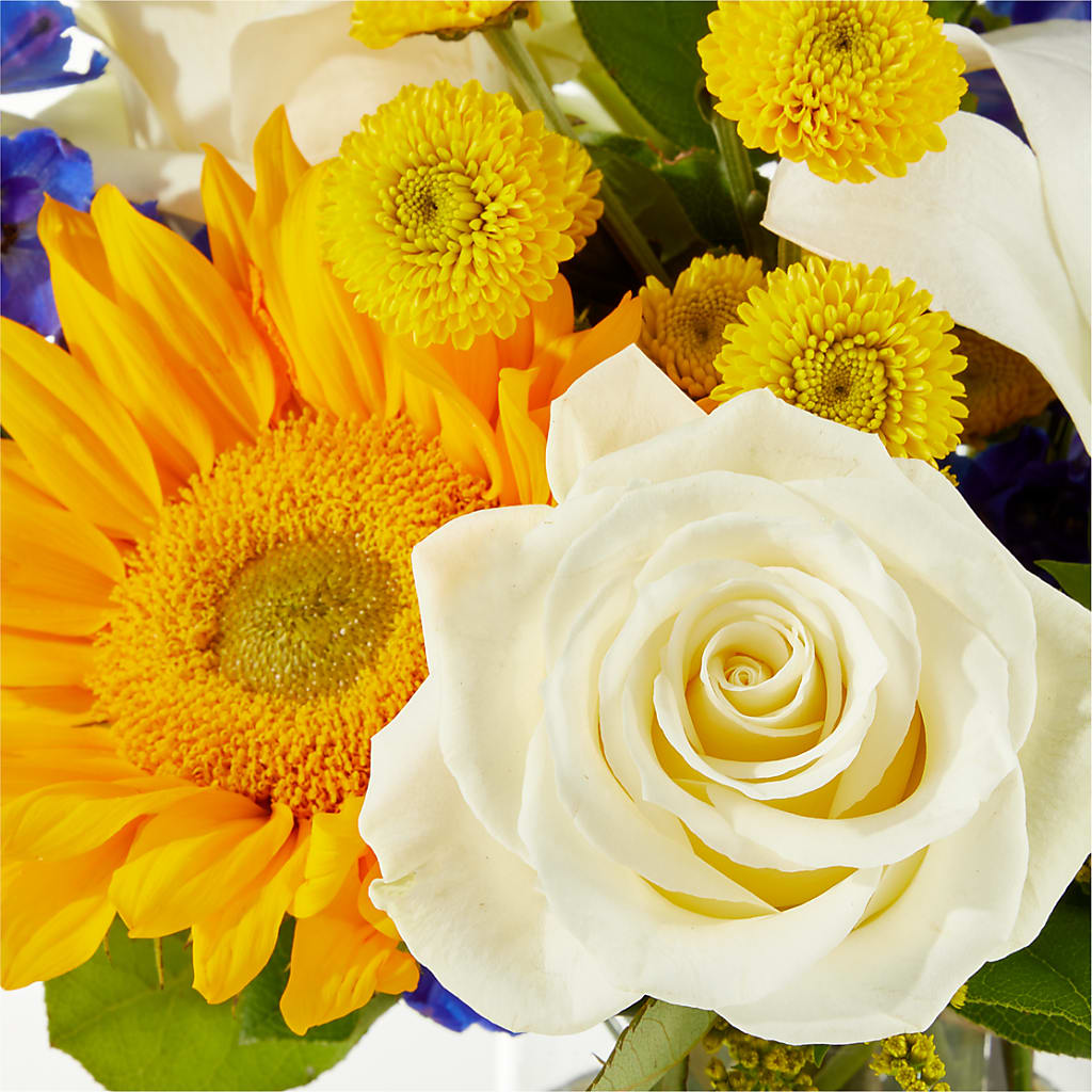 Stargazing Bouquet –  The Arrangement Smiles Unlimited Llc, Anderson IN