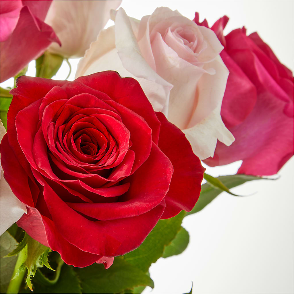 Charming Rose Bouquet –  The Arrangement Smiles Unlimited Llc, Anderson IN