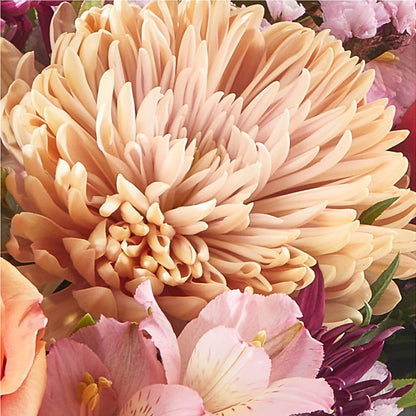 Berry Cobbler Bouquet –  The Arrangement Smiles Unlimited Llc, Anderson IN