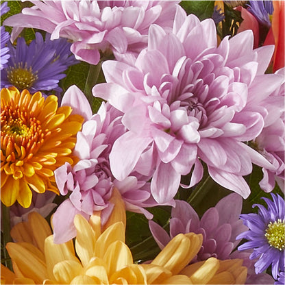 Countryside Bouquet –  The Arrangement Smiles Unlimited Llc, Anderson IN