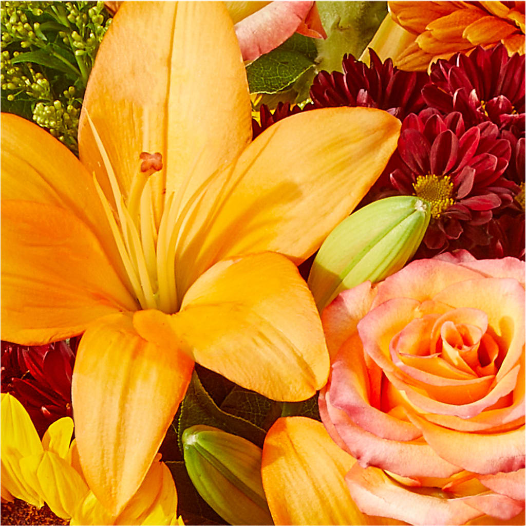Seasons Change Bouquet –  The Arrangement Smiles Unlimited Llc, Anderson IN