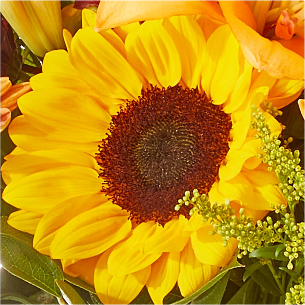 Seasons Change Bouquet –  The Arrangement Smiles Unlimited Llc, Anderson IN