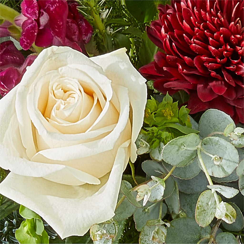 Cranberry Fizz Bouquet –  The Arrangement Smiles Unlimited Llc, Anderson IN